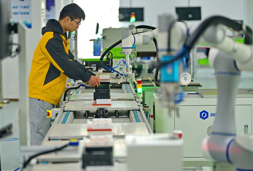 江西贛州 智能設備賦能產業升級，信息技術咨詢服務引領提質增效新篇章