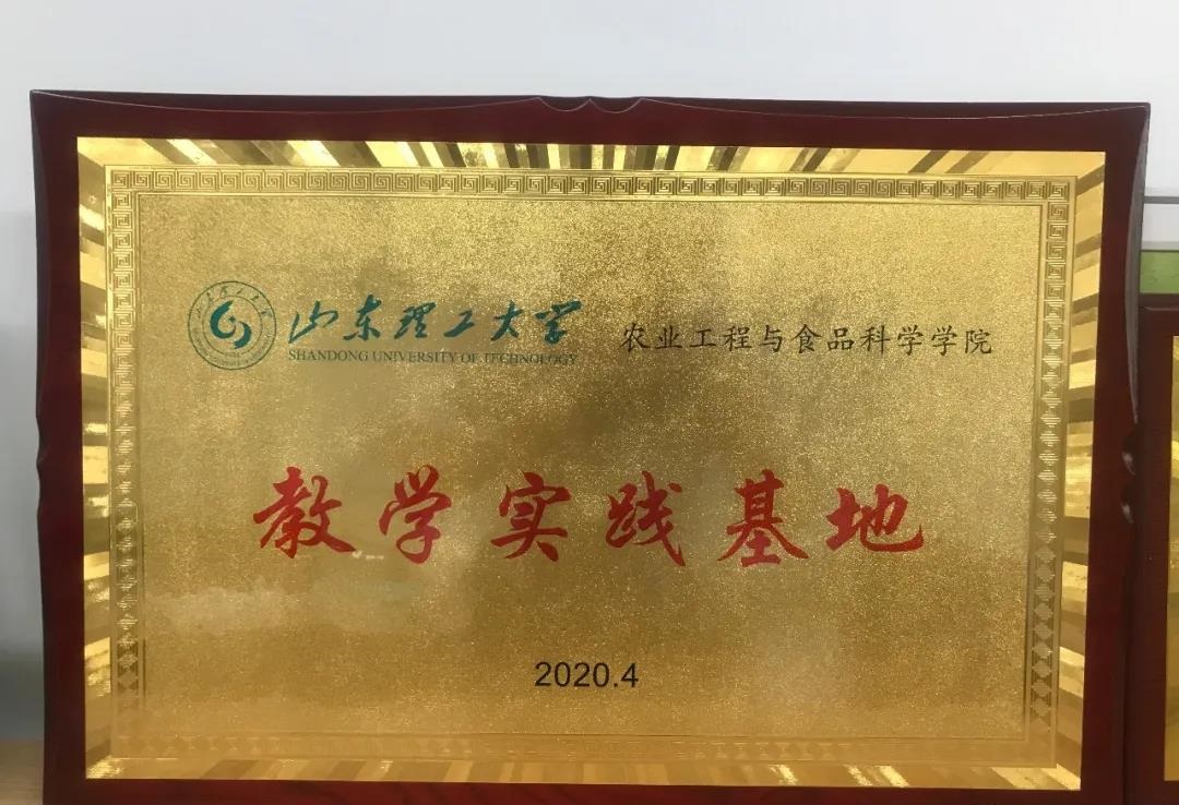 青島高新區企業與山東理工大學攜手共進，共繪影視策劃新藍圖